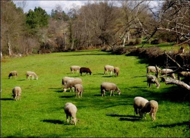 ホテルQuinta Do Lagar Da Moira Vila Franca da Serra エクステリア 写真