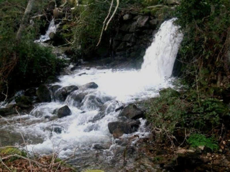 ホテルQuinta Do Lagar Da Moira Vila Franca da Serra エクステリア 写真